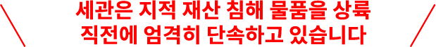 세관은 지적 재산 침해 물품을 상륙 직전에 엄격히 단속하고 있습니다